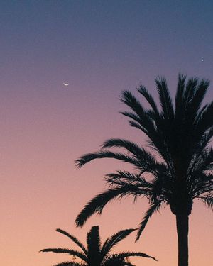 Image post by @unsplash on Instagram