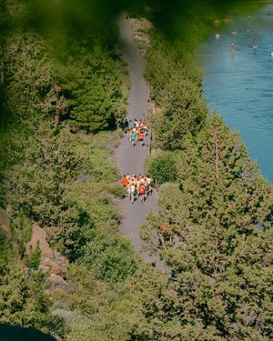 Image post by @bowermantc on Instagram