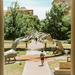 Image post by @tturawlscollege on Instagram