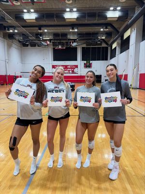 Image post by @unlvvball on Instagram