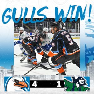 Image post by @sdgullsahl on Instagram