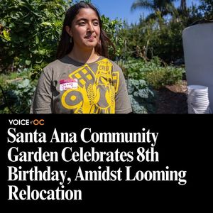 Image post by @voiceofoc on Instagram