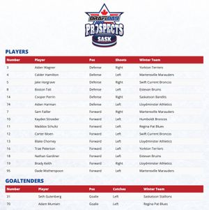 Image post by @draftdayhockey on Instagram