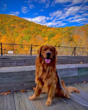 Image post by @poconotourism on Instagram