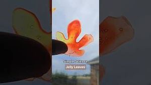 Video post by @kiwico on YouTube