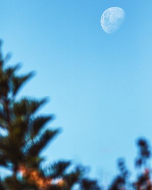 Image post by @danielzappe on Instagram