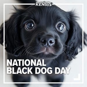 Image post by @kens5 on Instagram
