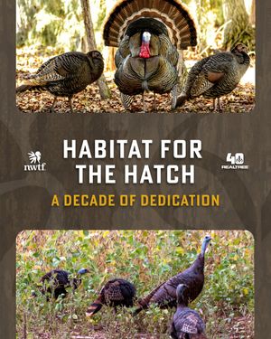 Image post by @realtreeoutdoors on Instagram