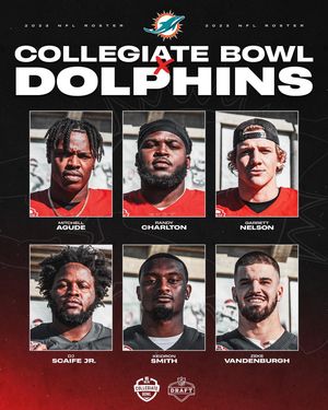 Image post by @nflpabowl on Instagram