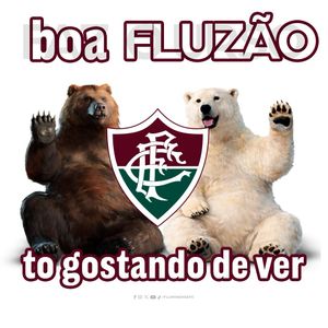 Image post by @fluminensefc on Instagram