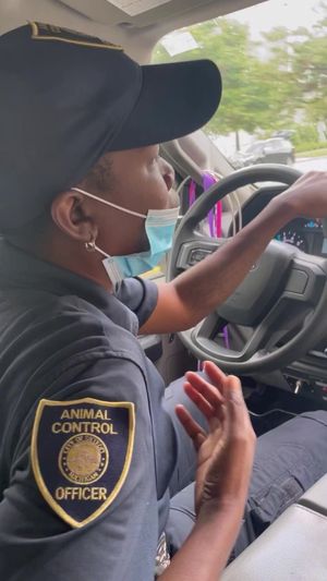 Video post by @DetroitGSD on Facebook