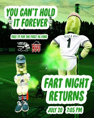 Image post by @picklesbaseball on Instagram