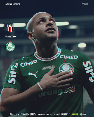 Image post by @palmeiras on Instagram