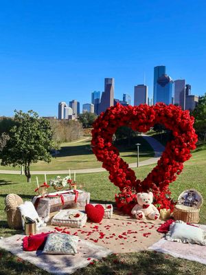 Image post by @visit_houston on Instagram