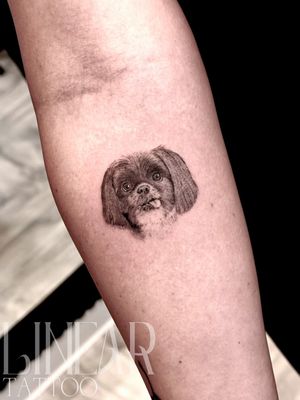 Image post by @christina.lineartattoo on Instagram