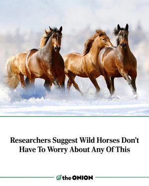 Image post by @theonion on Instagram