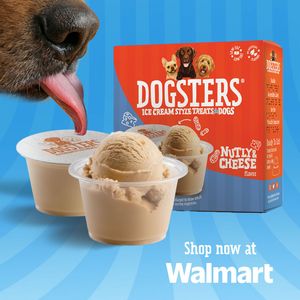Image post by @dogstersicecream on Instagram