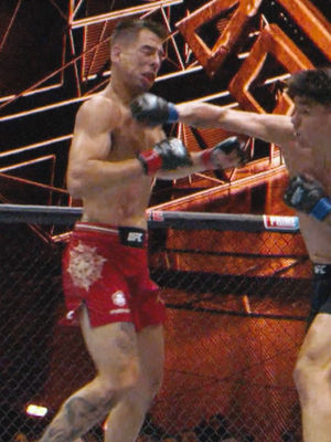 Video post by @ufc on TikTok