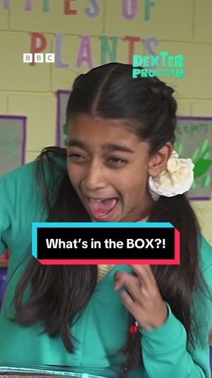 Video post by @cbbc on TikTok