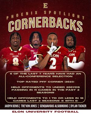 Image post by @elonfb on Instagram