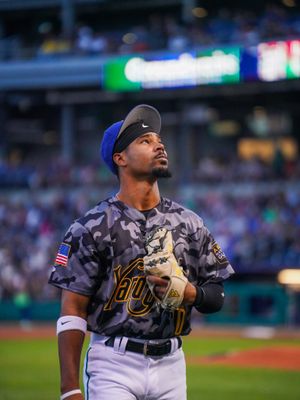 Image post by @hartfordyardgoats on Instagram