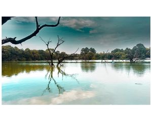 Image post by @icoonist on Instagram