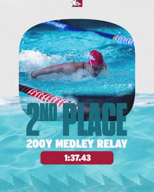 Image post by @razorbackswimdive on Instagram