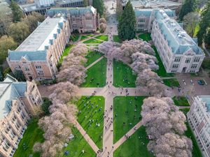 Image post by @uofwa on Instagram