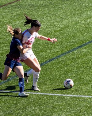 Image post by @terrierwsoc on Instagram