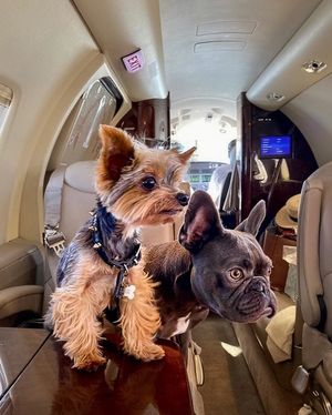 Image post by @wheelsup on Instagram