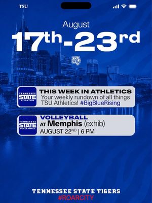 Image post by @tsutigers on Instagram