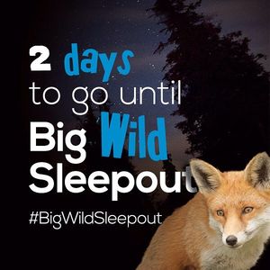 Image post by @rspb on Instagram