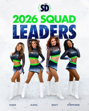 Image post by @seahawksdancers on Instagram