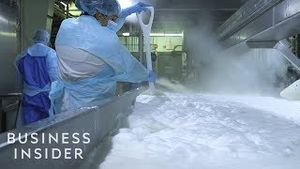 Video post by @businessinsider on YouTube