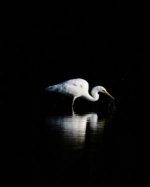 Image post by @unsplash on Instagram