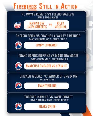 Image post by @flintfirebirds on Instagram