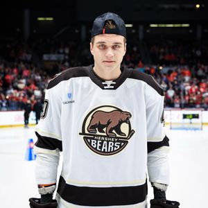 Image post by @thehersheybears on Instagram