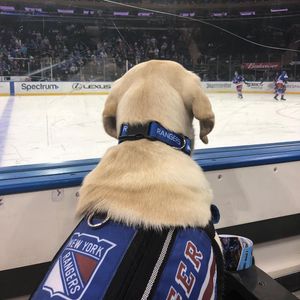 Image post by @nyrangers on Instagram