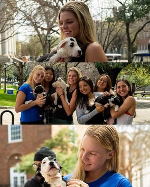Image post by @smuwtennis on Instagram