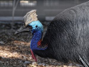 Image post by @denverzoo on Instagram