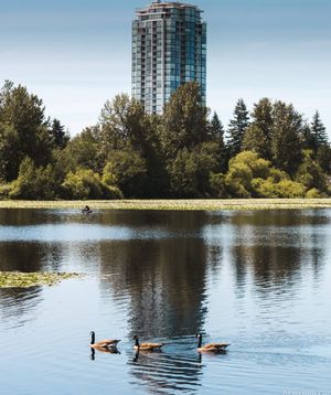 Image post by @tourismabbotsford on Instagram