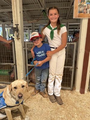 Image post by @canineorg on Instagram