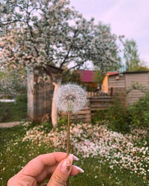 Image post by @tanya_zavadich on Instagram