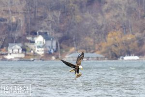 Image post by @jontenca on Instagram