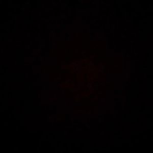 Image post by @the.team.co on Instagram