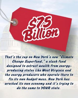 Image post by @mountainstateslegalfoundation on Facebook