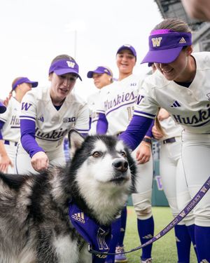 Image post by @UWAthletics on Twitter