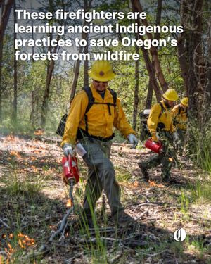 Image post by @theoregonian on Instagram
