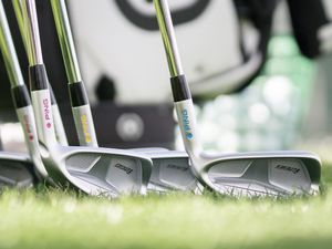 Image post by @pingtour on Instagram