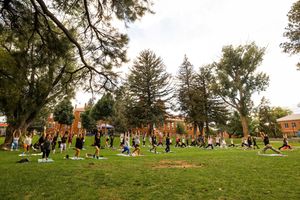 Image post by @nauflagstaff on Instagram